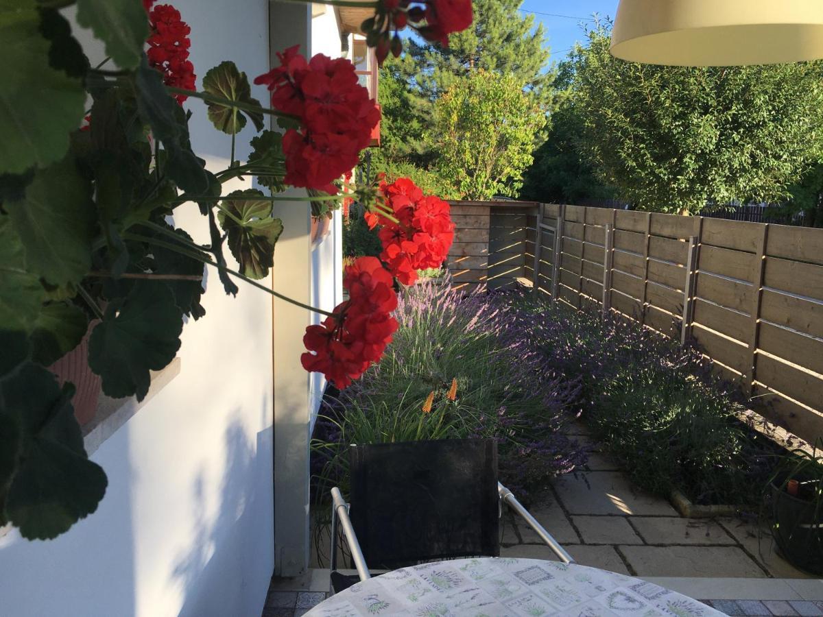 Szelrozsa Apartmanhaz Веленце Екстер'єр фото
